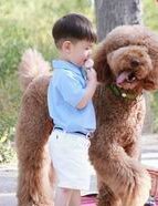 三代试管婴儿生孩子费用清单一览