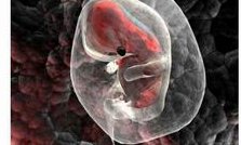 女性怀孕困难怎么办，在德州市有医院能做试管婴儿吗？听听当地姐妹们怎么说