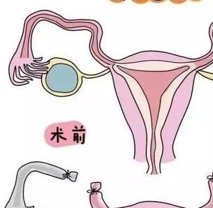 安康试管婴儿医院哪个好，安康可以做试管婴儿吗