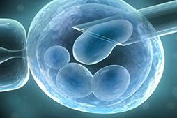 2026年商丘三代试管婴儿助孕孩孩的费用要花多少钱(价格明细参考)